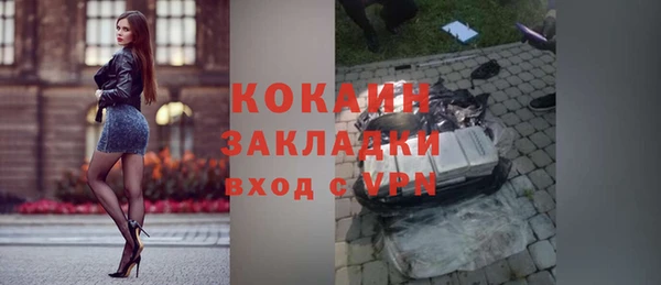 дживик Сосновый Бор