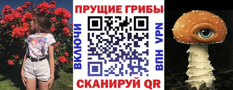 Галлюциногенные грибы мухоморы  Купить  Шимановск 