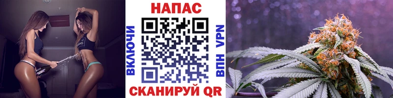 Конопля индика Шимановск